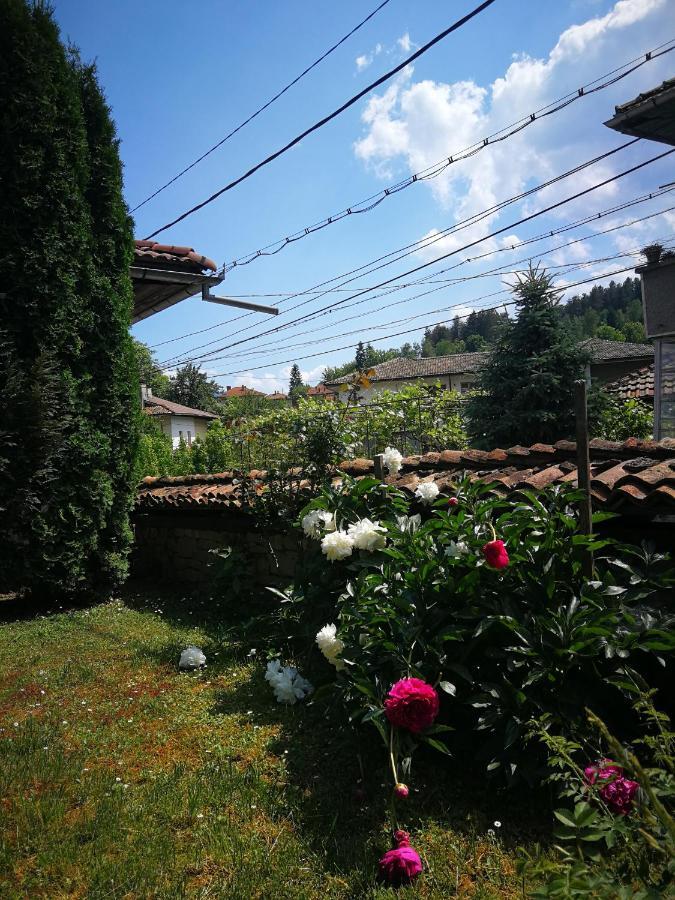 Къща За Гости Роден Край Elena Exterior foto